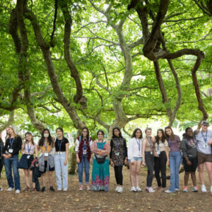 Under Huge Tree