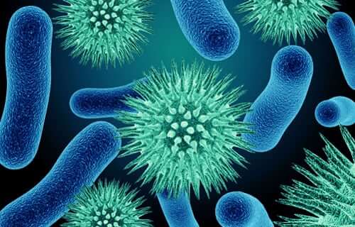 pathogen