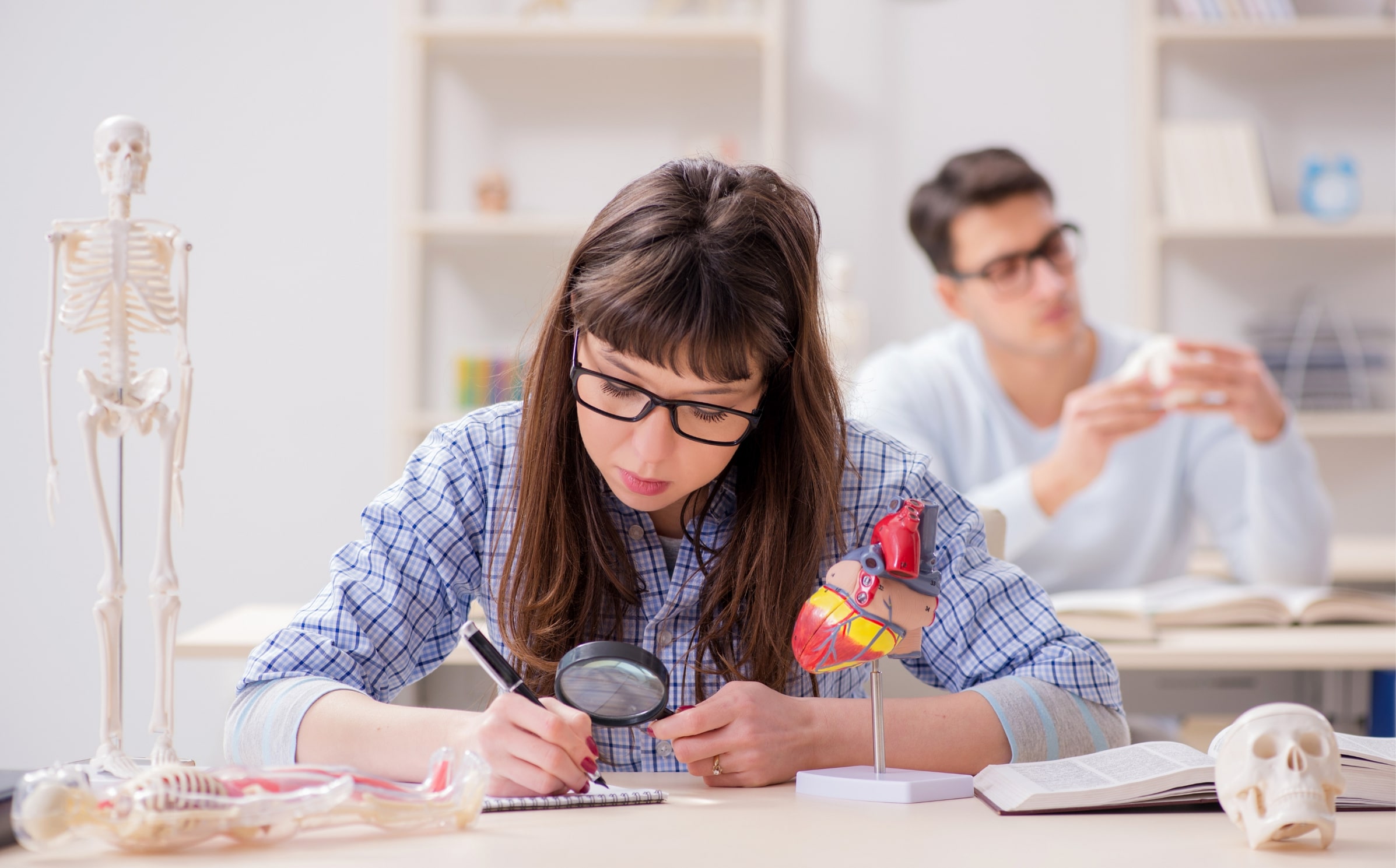 General Anatomy And Physiology